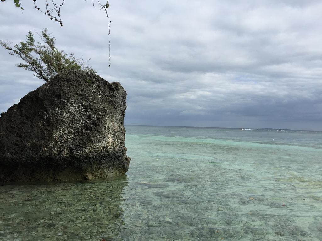 The Whitehouse By The Sea Villa Panglao Eksteriør billede